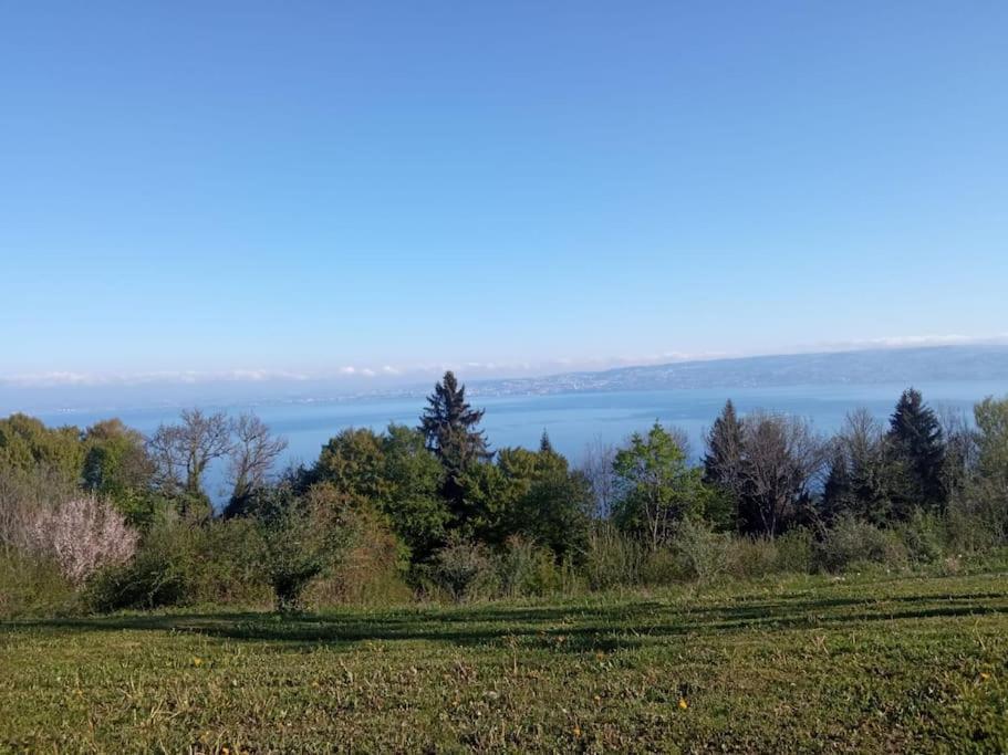 Lugrin Proche Du Lac Et Montagne 外观 照片