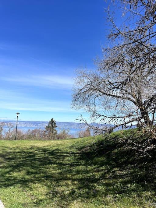 Lugrin Proche Du Lac Et Montagne 外观 照片